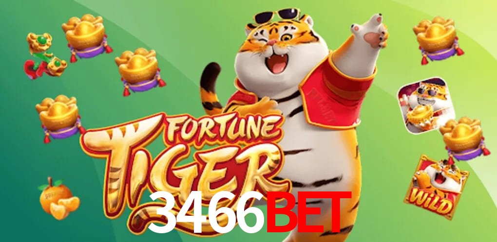 Security Systems 3466BET